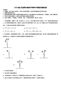 2026届江苏省溧水高级中学高考冲刺模拟物理试题含解析
