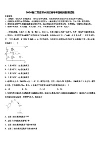 2026届江苏省溧水名校高考考前模拟物理试题含解析