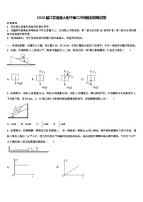 2026届江苏省南大附中高三冲刺模拟物理试卷含解析