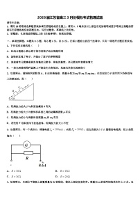 2026届江苏省高三3月份模拟考试物理试题含解析