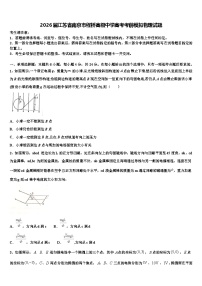 2026届江苏省南京市程桥高级中学高考考前模拟物理试题含解析