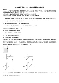 2026届江苏省十三大市高考冲刺模拟物理试题含解析