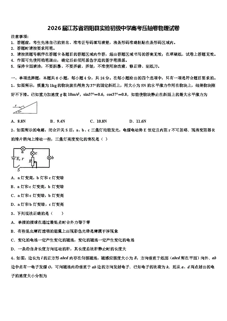 2026届江苏省泗阳县实验初级中学高考压轴卷物理试卷含解析第1页