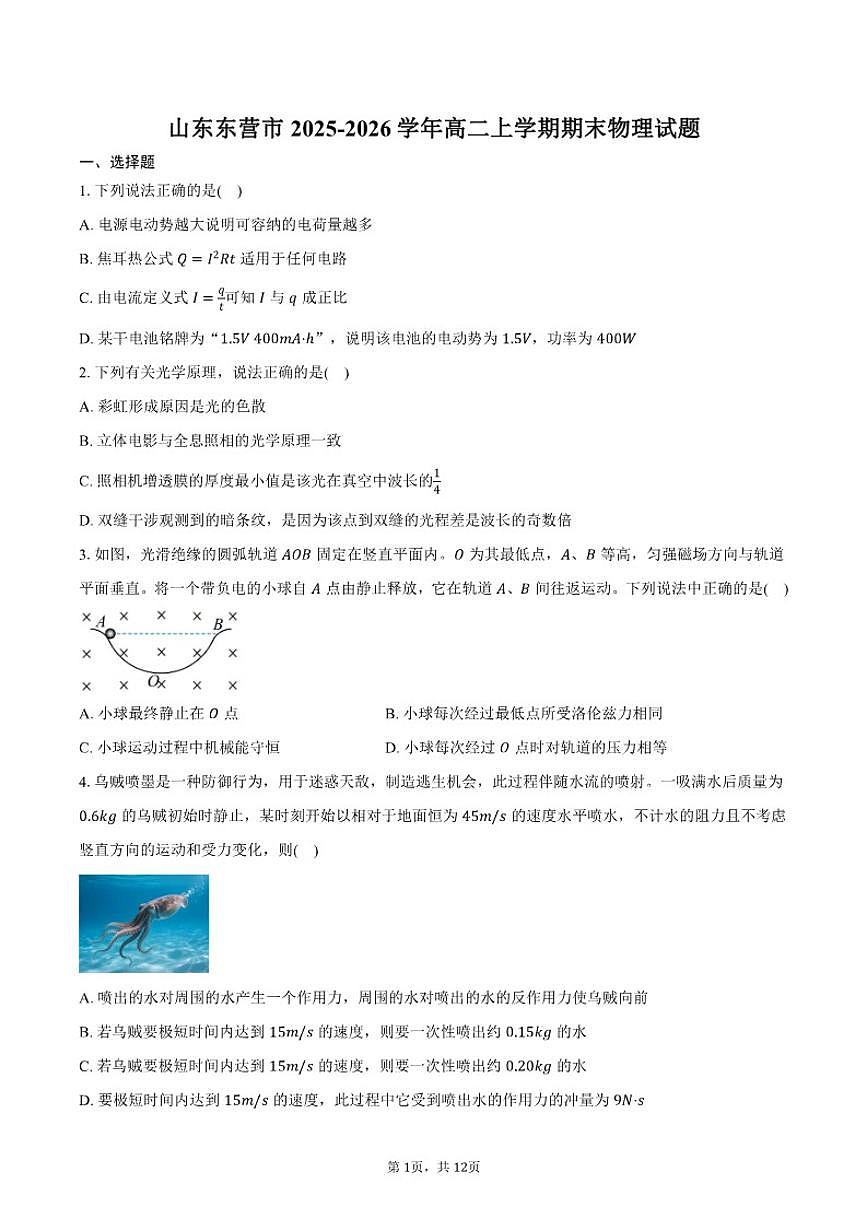 2025-2026学年山东东营市高二上学期期末物理试卷(含答案)第1页