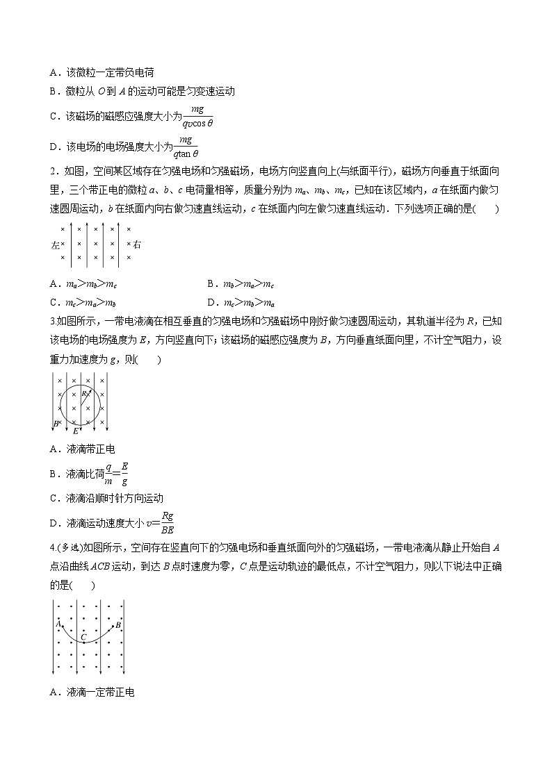 高考物理三轮冲刺 考前适应练习二十二 带电粒子在叠加场和交变电、磁场中的运动(原卷版)第3页