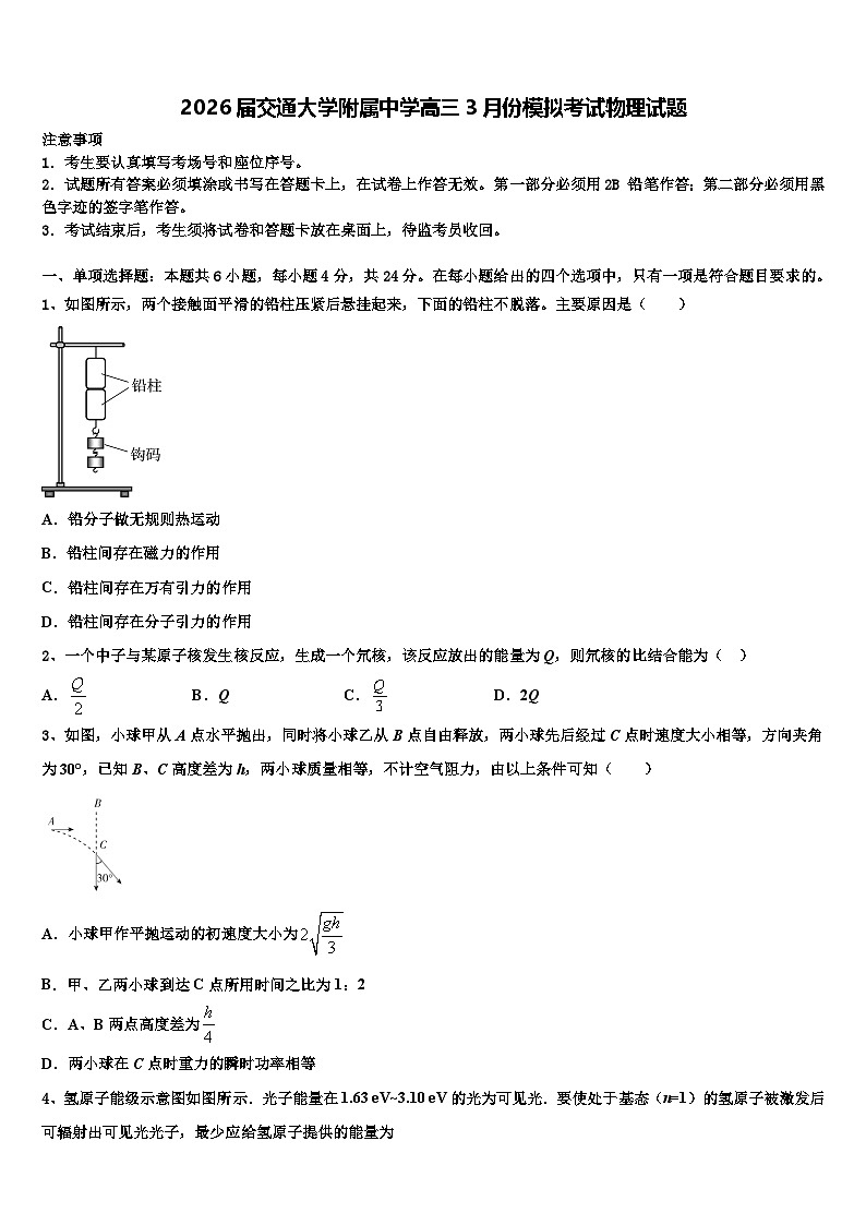 2026届交通大学附属中学高三3月份模拟考试物理试题含解析第1页