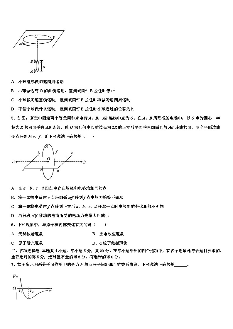 2026届辽宁省实验中学高考压轴卷物理试卷含解析第2页