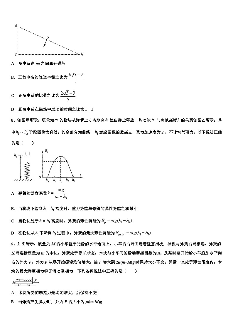 2026届内蒙古巴彦淖尔市临河三中高三压轴卷物理试卷含解析第3页