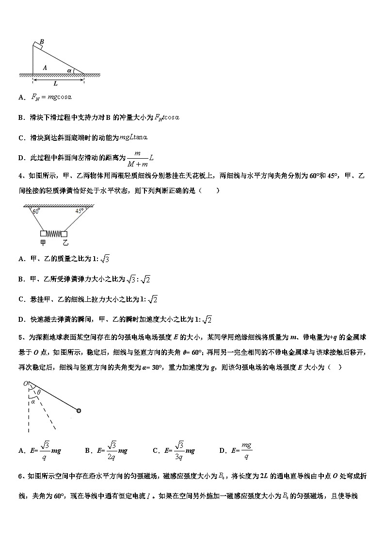 2026届山东德州一中高三适应性调研考试物理试题含解析第2页