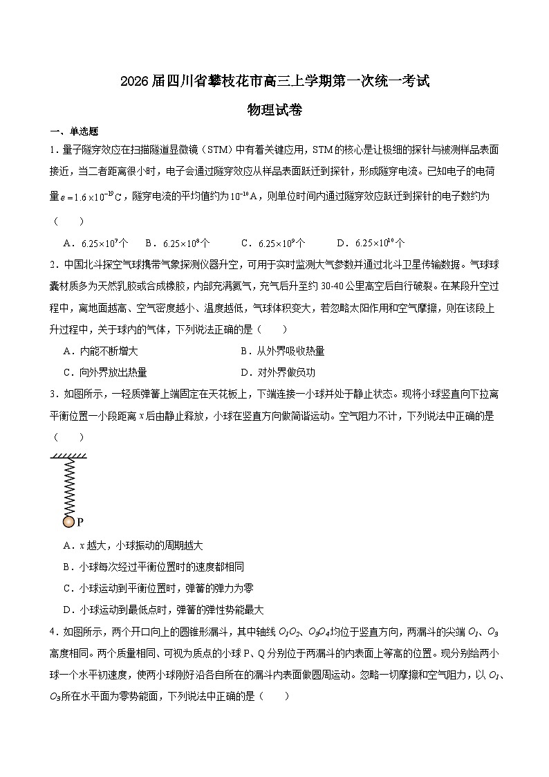 四川省攀枝花市2026届高三上学期第一次统一考试物理试题(Word版附答案)第1页