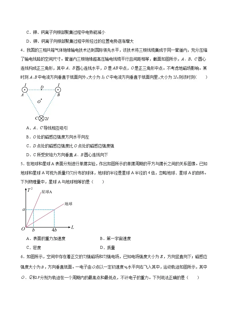 云南省大理白族自治州2026届高三上学期第二次复习统一检测物理试题(Word版附答案)第2页