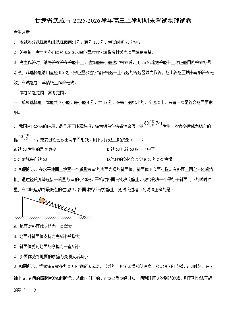 2025-2026学年甘肃省武威市高三上学期期末物理试卷(学生版)第1页