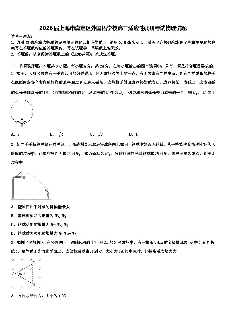 2026届上海市嘉定区外国语学校高三适应性调研考试物理试题含解析第1页
