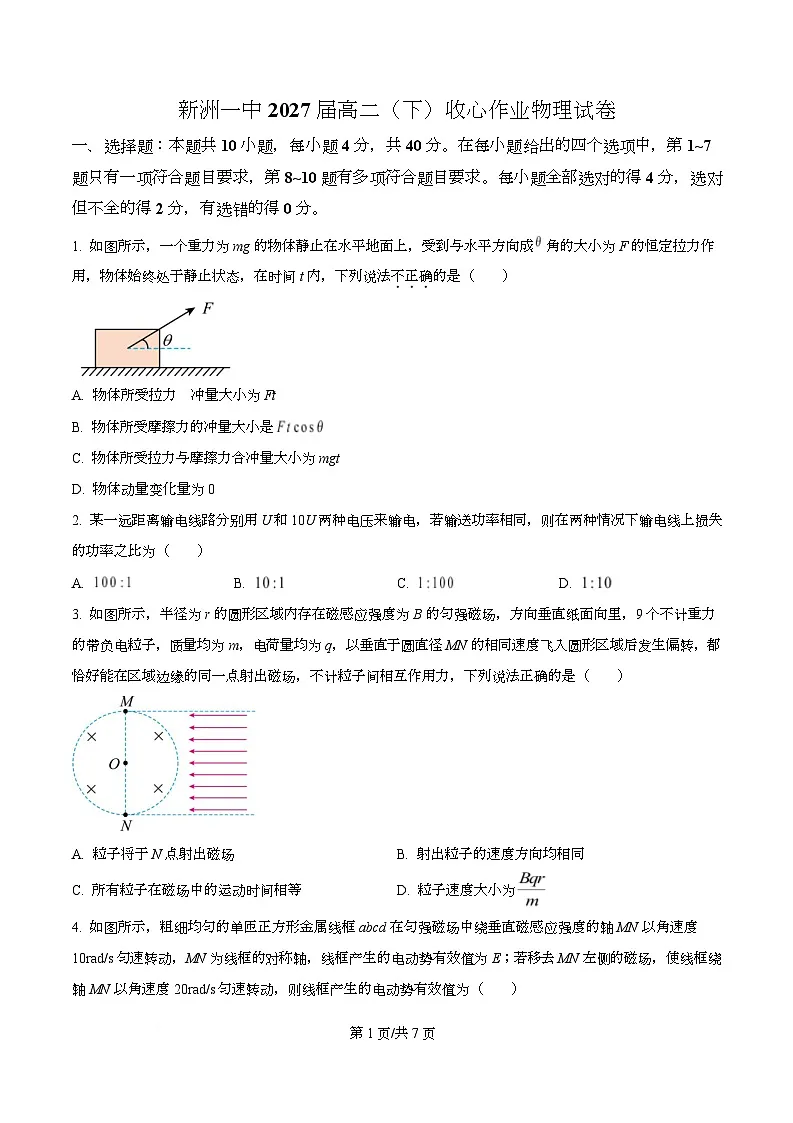 湖北武汉市新洲区第一中学2025-2026学年高二下学期收心作业物理试卷(原卷版)第1页