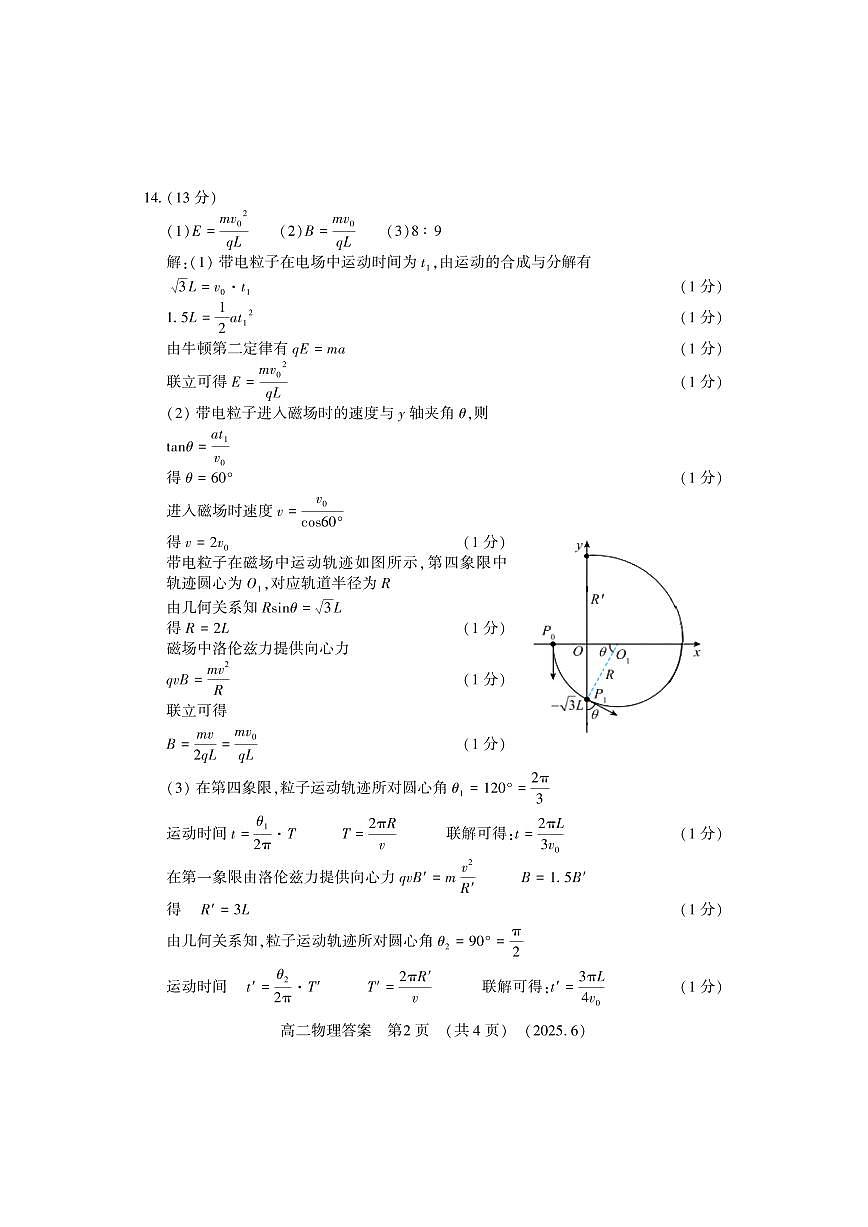 洛阳2024-2025学年6月高二质量检测-物理答案第2页