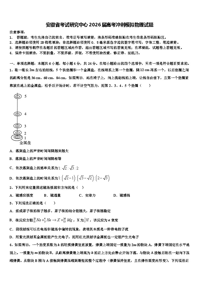 安徽省考试研究中心2026届高考冲刺模拟物理试题含解析第1页