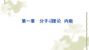高中物理人教版 (新课标)选修1一、分子及其热运动优质课课件ppt