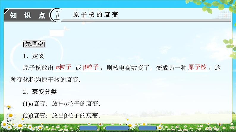 2018版高中物理(人教版)选修3-5同步课件:第19章 2 放射性元素的衰变03
