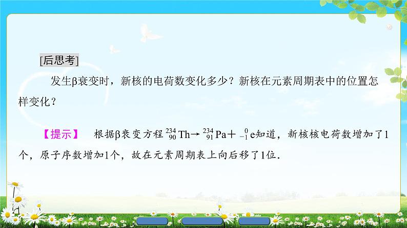 2018版高中物理(人教版)选修3-5同步课件:第19章 2 放射性元素的衰变06