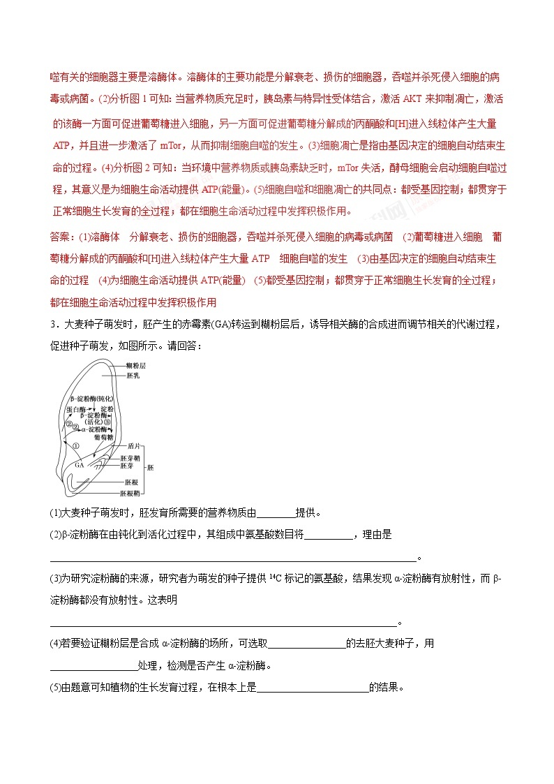 高考物理-简答题解题方法与技巧03