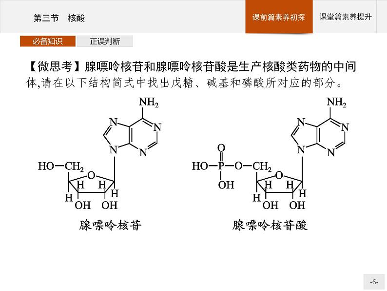 4.3 核酸 课件(25张ppt)+练习(含解析)06
