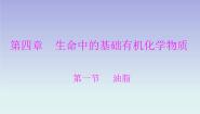 人教版 (新课标)选修5 有机化学基础第一节 油脂教学ppt课件