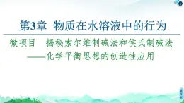 揭秘索尔维制碱法和侯氏制碱法——化学平衡思想的创造性应用PPT课件免费下载2022