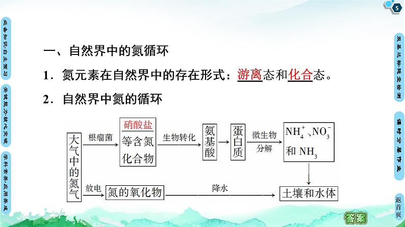 第3章 第3节 第1课时 自然界中的氮循环 课件 【新教材】鲁科版(2019)高中化学必修一(共56张PPT)05