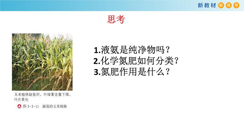 鲁科版高中化学必修第一册3.3.2《氨的转化与生成》课件(2) (含答案)05
