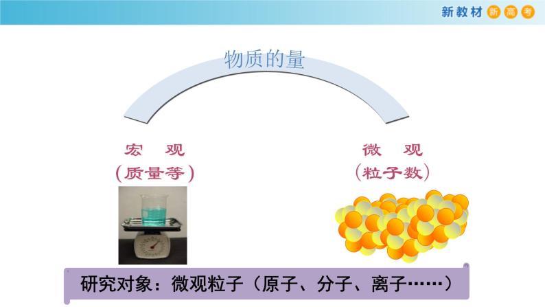 鲁科版高中化学必修第一册1.3.1《物质的量及其单位—摩尔  摩尔质量》课件(1) (含答案)03