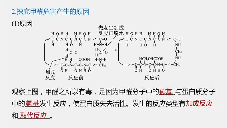 微专题二 第1章 微项目 甲醛的危害与去除 ——利用电负性分析与预测物质性质课件第5页