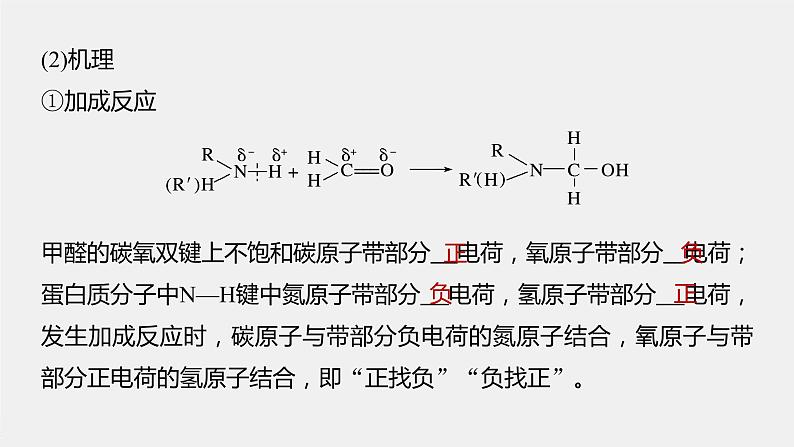 微专题二 第1章 微项目 甲醛的危害与去除 ——利用电负性分析与预测物质性质课件第6页