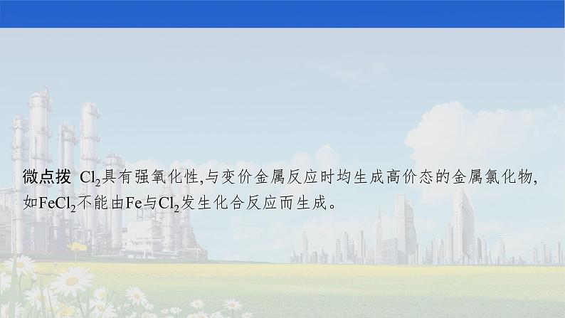 人教版2022届高中化学一轮复习 第四单元 第2节 富集在海水中的元素——氯 海水资源利用 课件第5页