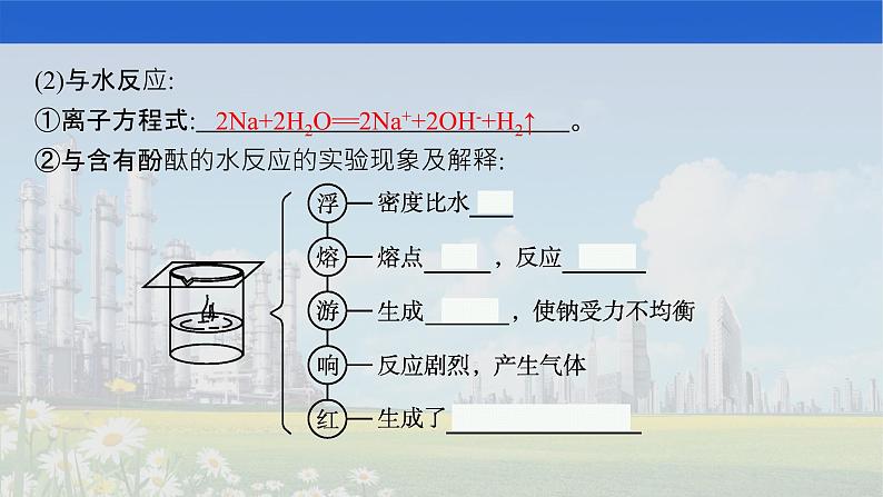 人教版2022届高中化学一轮复习 第三单元 第1节 钠及其重要化合物 课件第5页
