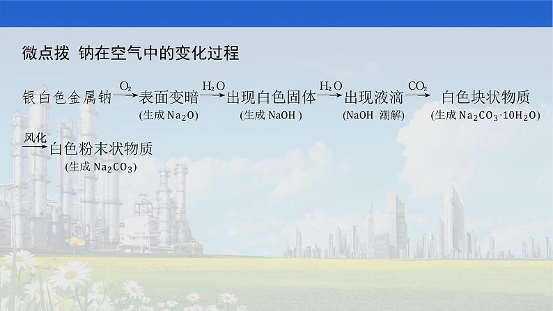 人教版2022届高中化学一轮复习 第三单元 第1节 钠及其重要化合物 课件第6页