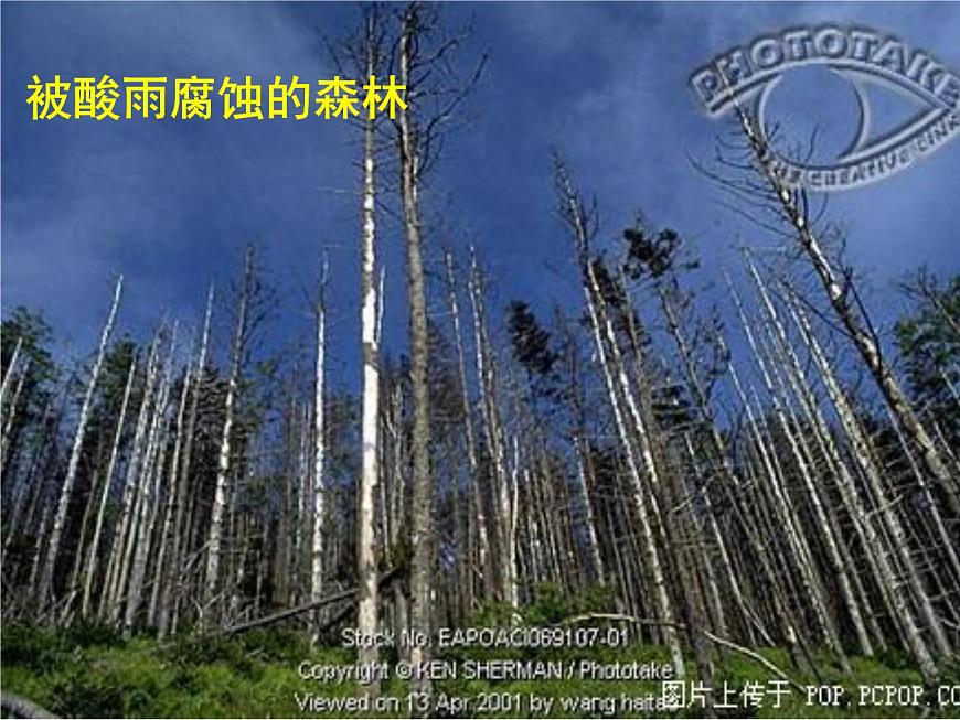 新人教版高中化學(xué)必修一【化學(xué)】4.3-《硫和氮的氧化物》-課件第4頁(yè)