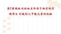 化學(xué)選擇性必修2微項(xiàng)目 補(bǔ)鐵劑中鐵元素的檢驗(yàn)——應(yīng)用配合物進(jìn)行物質(zhì)檢驗(yàn)教課課件ppt