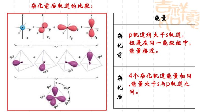 鲁科版（2019）高中化学选择性必修二 2.2 共价键与分子的空间结构 第1课时课件PPT07