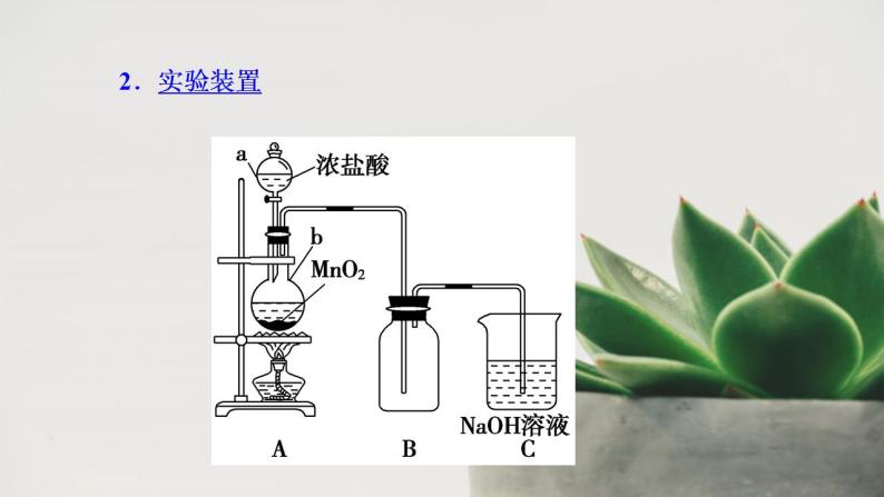 高中化学人教版2019版必修一 2.2.2 氯气的实验室制法  氯离子的检验（课件）07