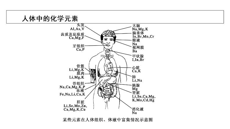 2021-2022学年高中化学新人教版必修第一册 第4章第1节 原子结构与元素周期表(第3课时) 课件(56张)06