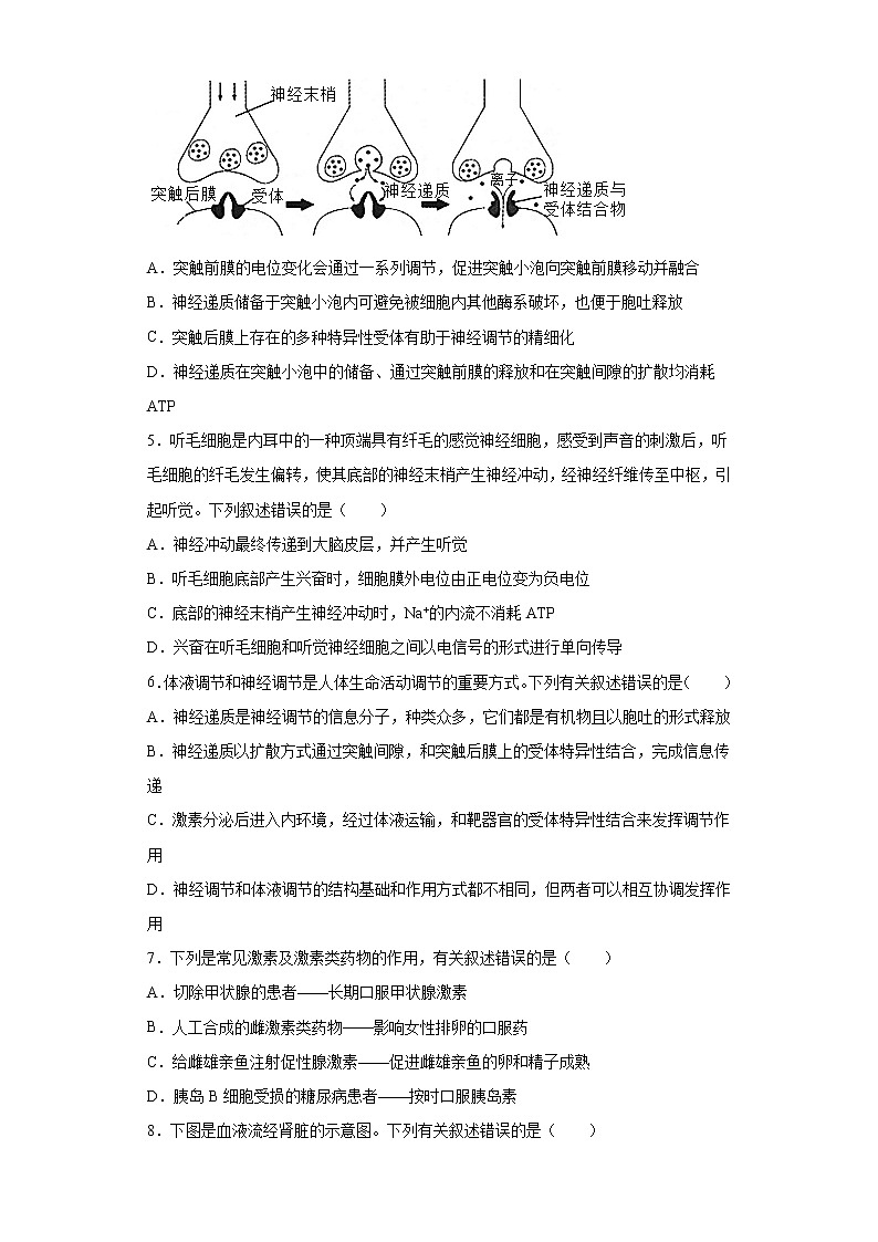湖南省邵阳邵市东市2021-2022学年高二上学期第一次月考生物试题(word版含答案)第2页