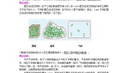 高中化学人教版 (新课标)必修1第一章  从实验学化学综合与测试学案