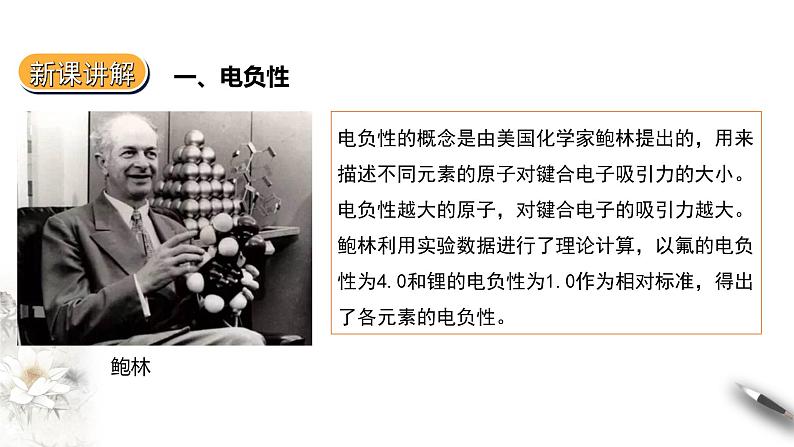 1.2.3 原子结构与元素的性质 第二课时课件PPT第5页