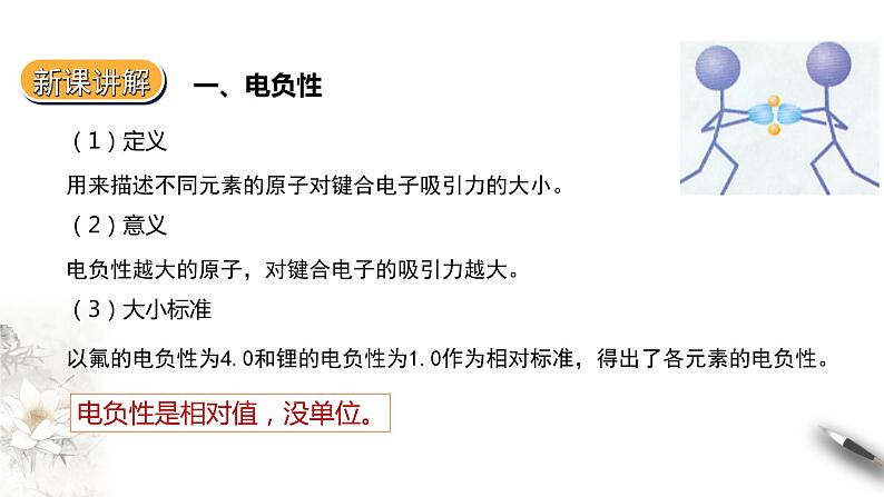 1.2.3 原子结构与元素的性质 第二课时课件PPT第6页