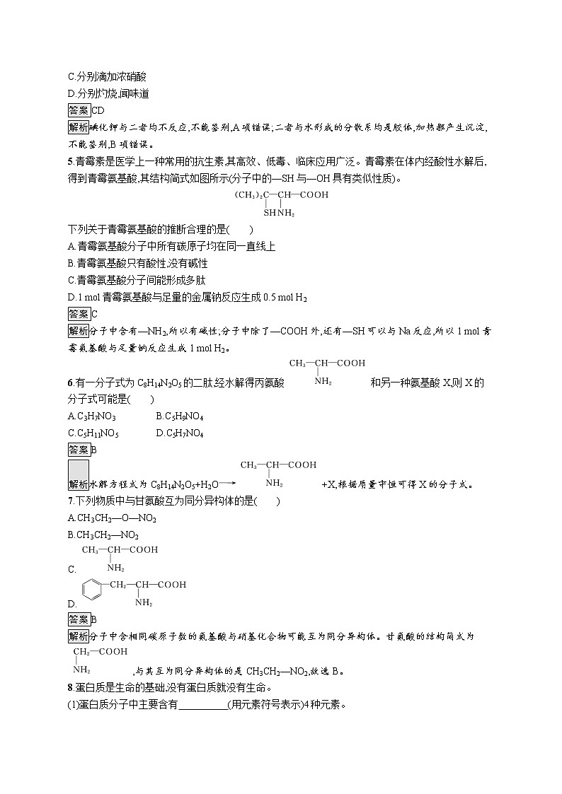 4.2 蛋白质 课件(50张ppt)+练习(含解析)02