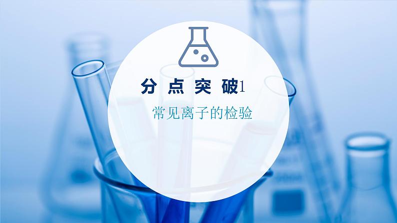专题2第一单元第三课时物质的检验物质性质和变化的探究2021-2022上学期高一化学苏教版(2019)必修第一册课件PPT03