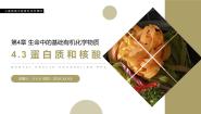 高中化学人教版 (新课标)选修5 有机化学基础第四章  生命中的基础有机化学物质第三节 蛋白质和核酸评课ppt课件