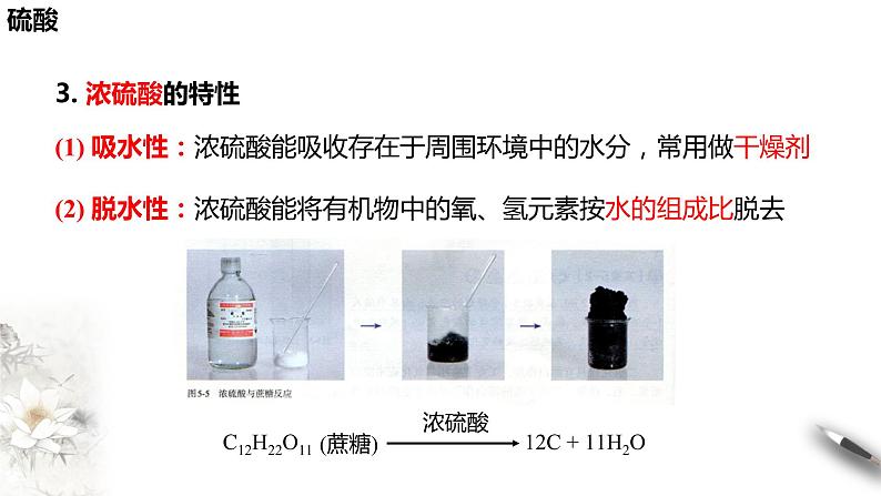 5.1.2 硫酸 课件(1)-人教版高中化学必修第二册(共21张PPT)08