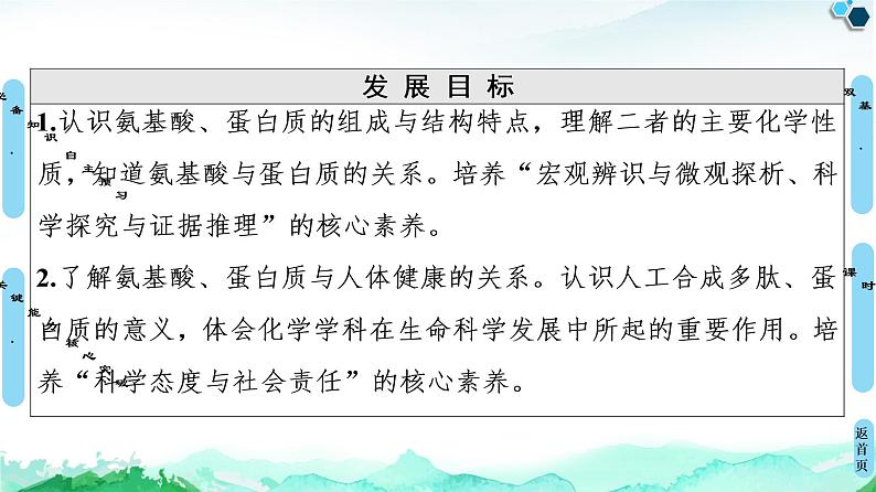 第4章 第2节 蛋白质 课件 人教版(2019)高中化学选择性必修302