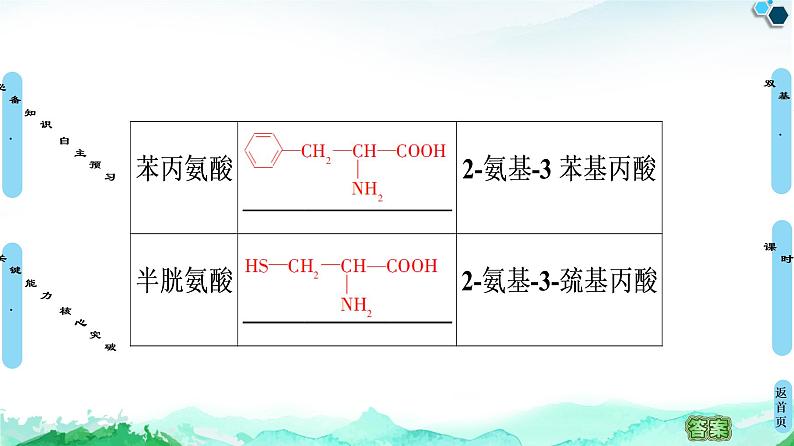 第4章 第2节 蛋白质 课件 人教版(2019)高中化学选择性必修308